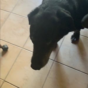 Meet your Posher, Stacey